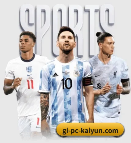 五大服务分区,信息按项目分类 | kaiyun
